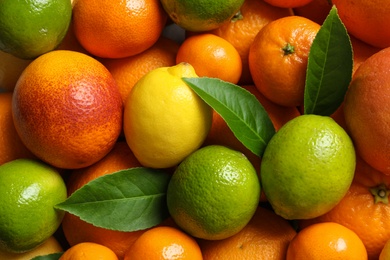 Photo of Different citrus fruits as background, top view