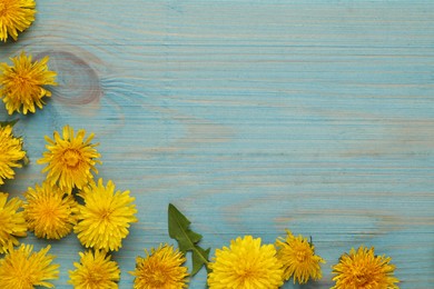 Photo of Beautiful yellow dandelions on light blue wooden table, flat lay. Space for text