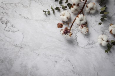 Dry cotton branch with fluffy flowers and green leaves on white marble background, flat lay. Space for text