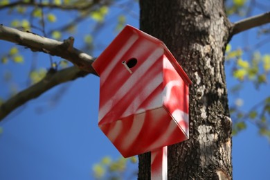 Red and white bird house on tree outdoors