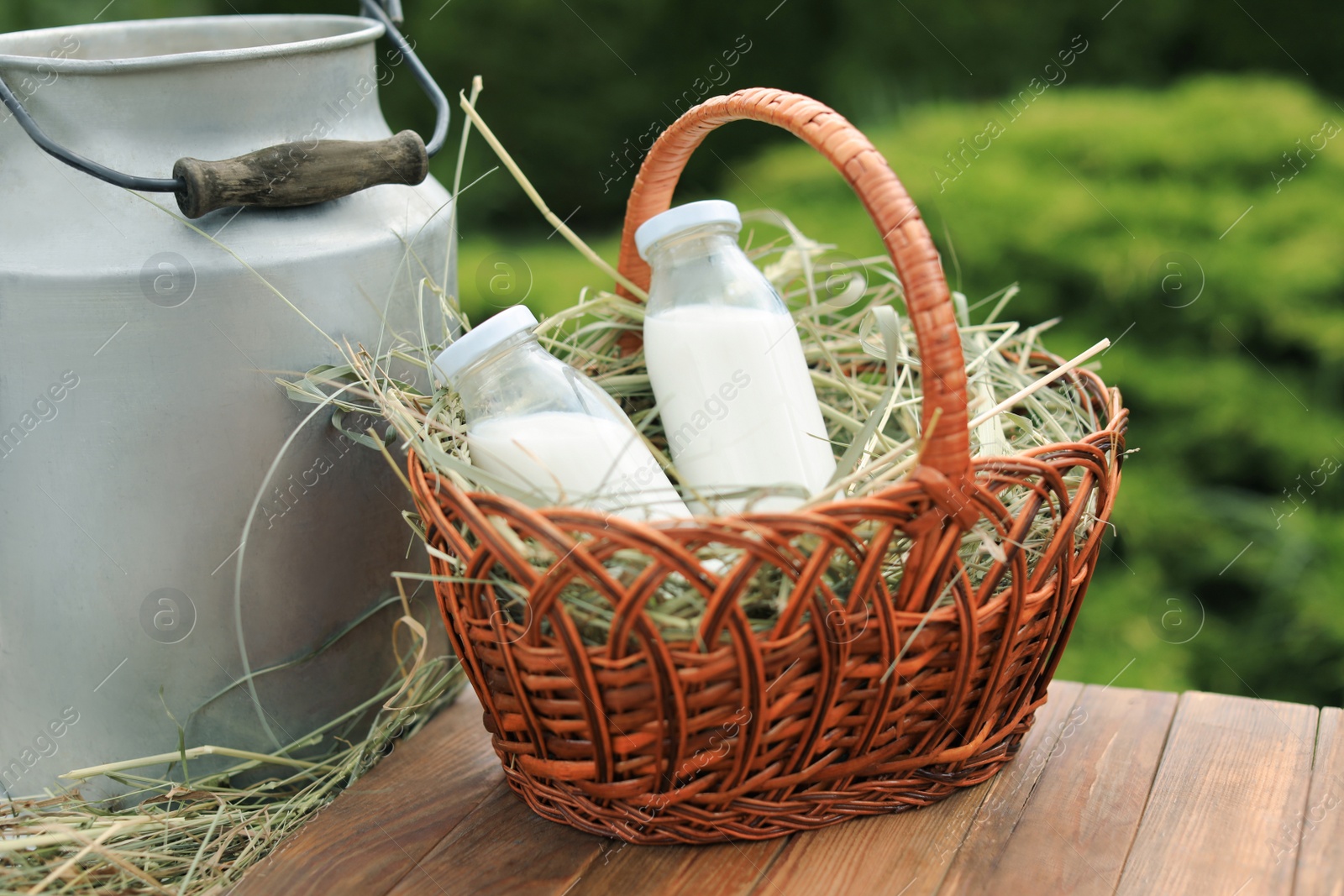 Photo of Tasty fresh milk in can and bottles on wooden table outdoors