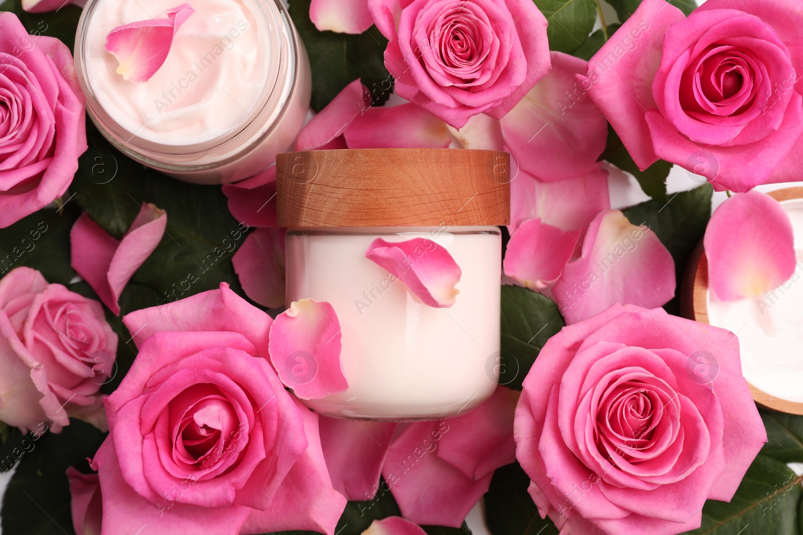 Photo of Jars of face cream among beautiful roses, top view