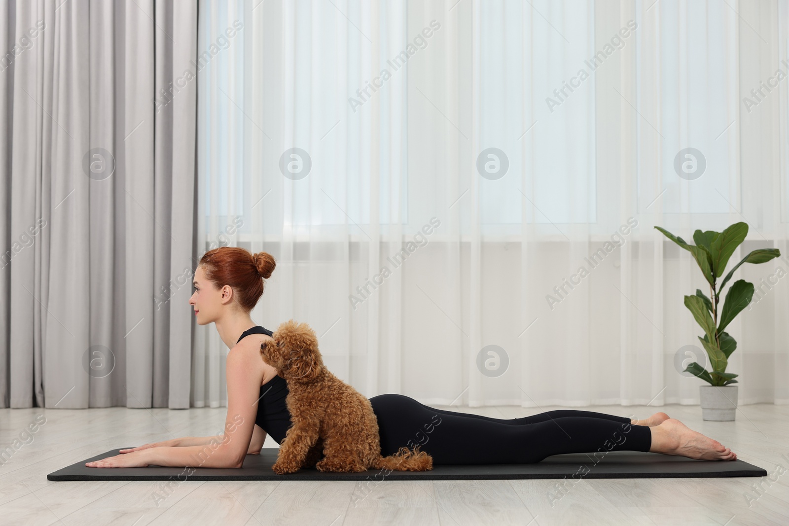 Photo of Young woman practicing yoga on mat with her cute dog indoors