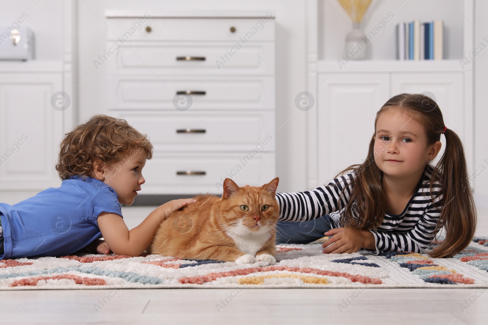 Photo of Little children petting cute ginger cat on carpet at home