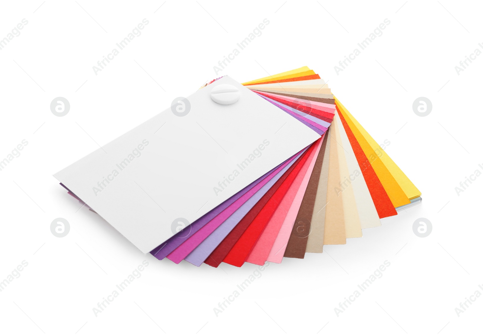 Photo of Color palette isolated on white. Professional samples