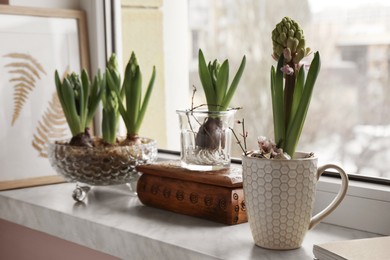 Photo of Beautiful bulbous plants on windowsill indoors. Spring time