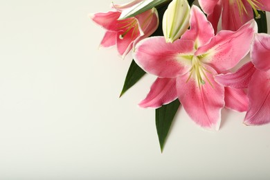 Beautiful pink lily flowers on white table Space for text