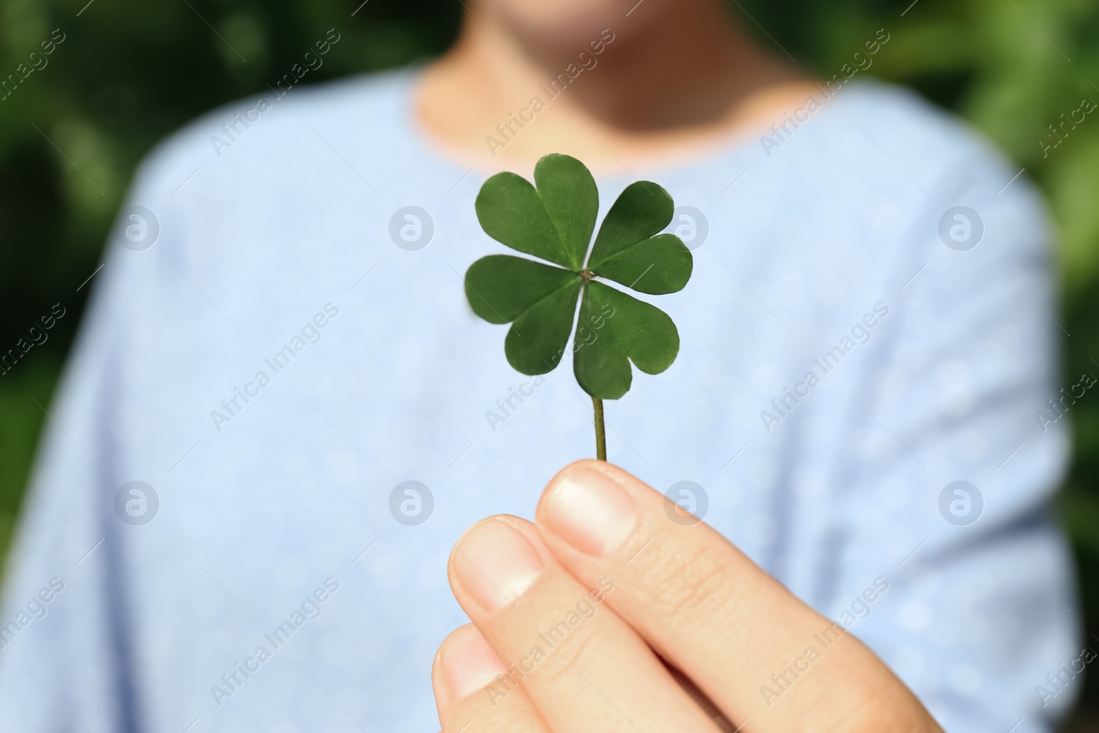 Photo of Woman holding green four leaf clover outdoors, closeup