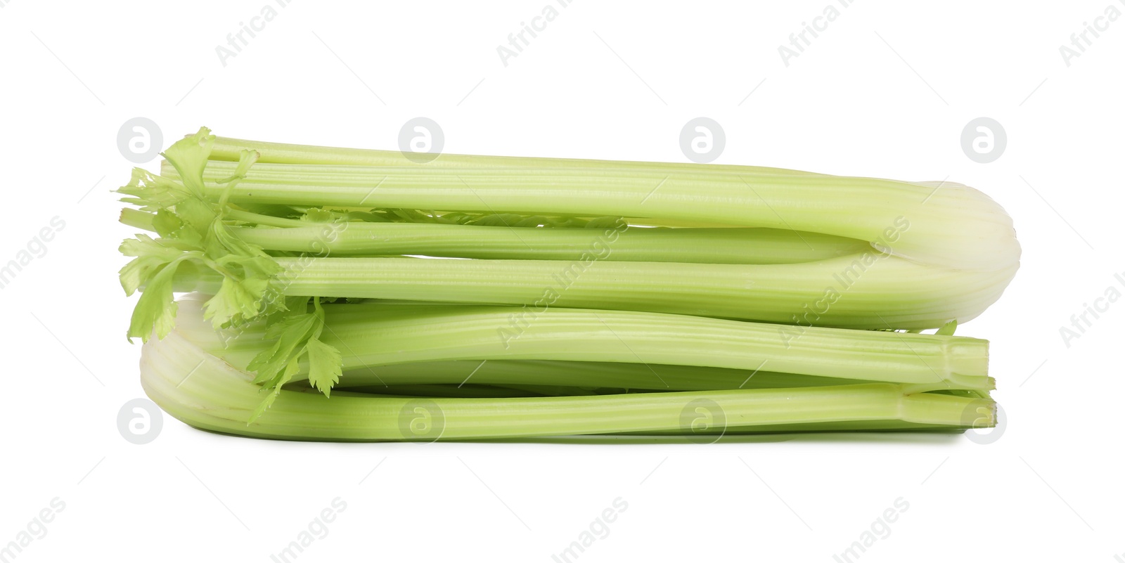 Photo of Fresh green celery bunches isolated on white