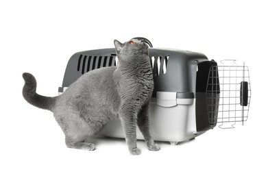 Adorable grey British Shorthair cat near carrier on white background