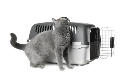 Photo of Adorable grey British Shorthair cat near carrier on white background