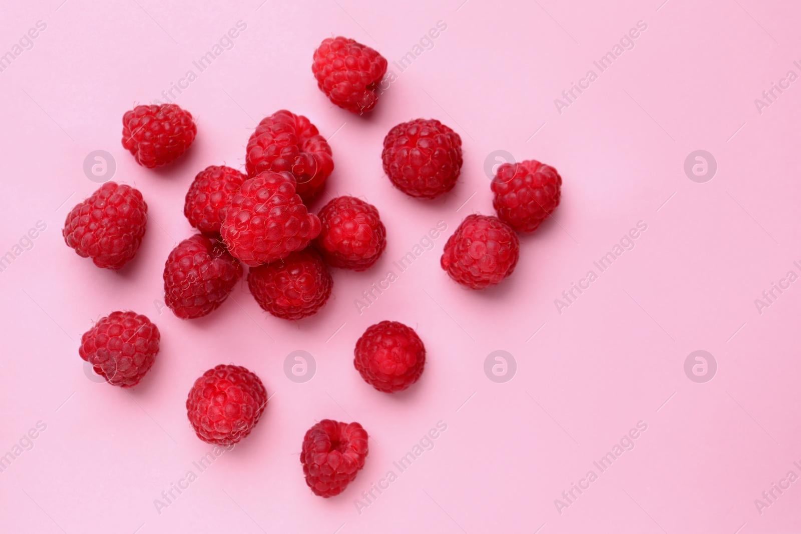 Photo of Tasty ripe raspberries on pink background, flat lay. Space for text