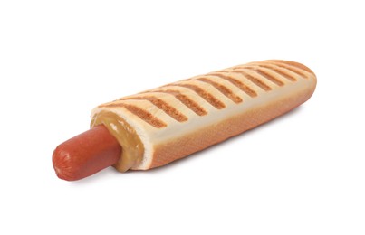 Tasty french hot dog with mustard isolated on white