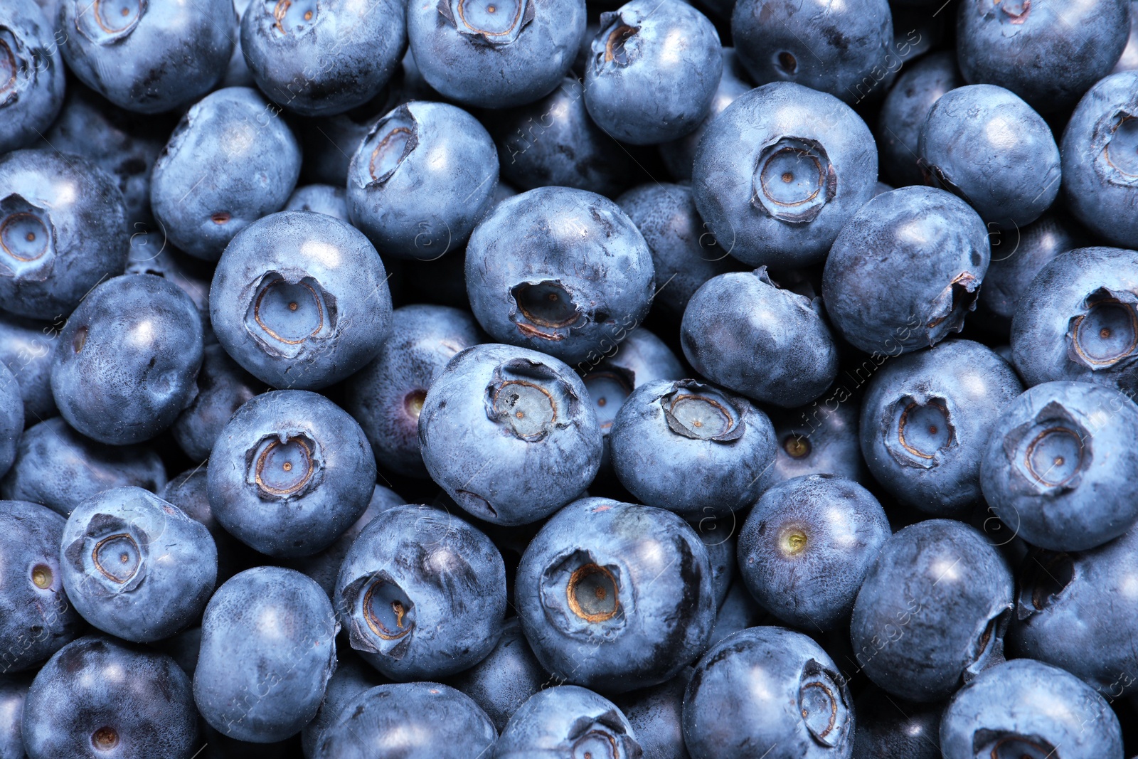 Photo of Tasty fresh blueberries as background, top view