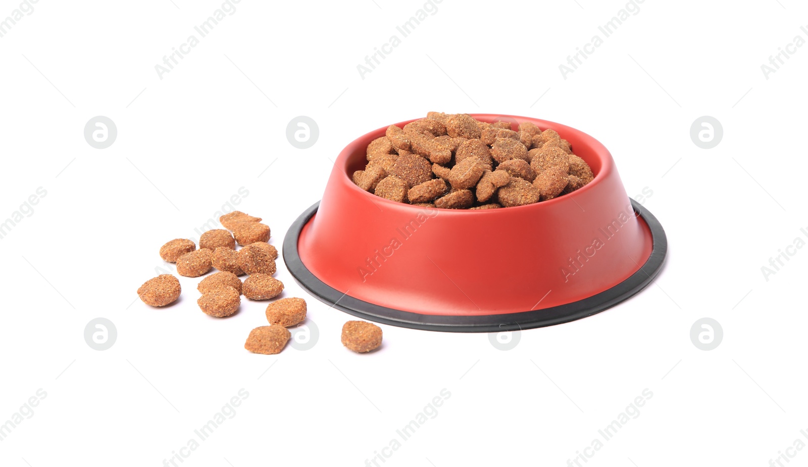 Photo of Dry pet food in feeding bowl isolated on white