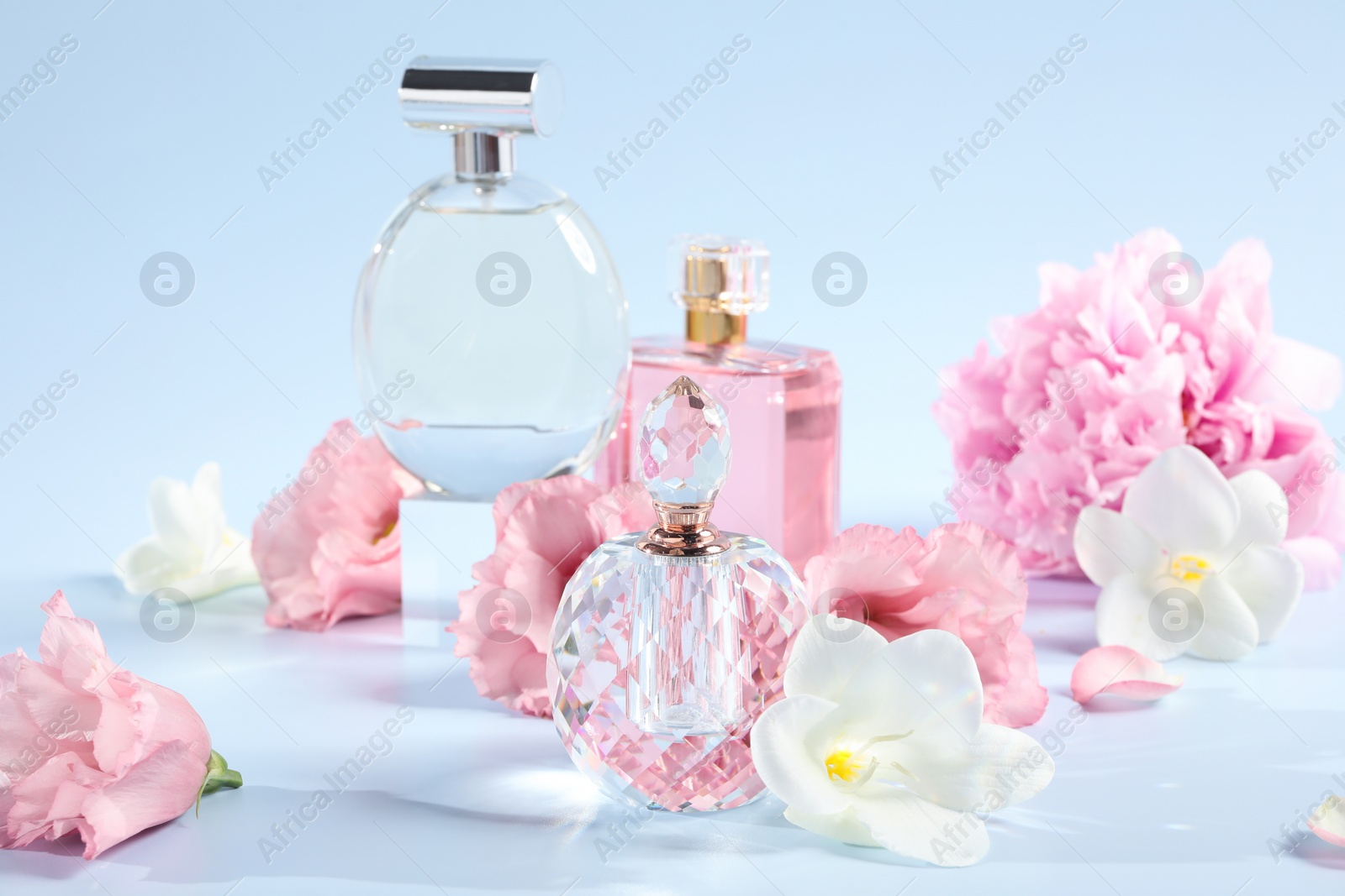 Photo of Bottles of luxury perfumes and floral decor on light blue background