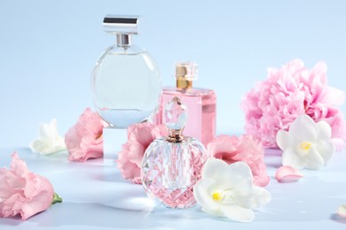 Photo of Bottles of luxury perfumes and floral decor on light blue background