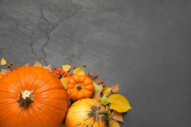 Photo of Flat lay composition with pumpkins and autumn leaves on black slate table. Space for text