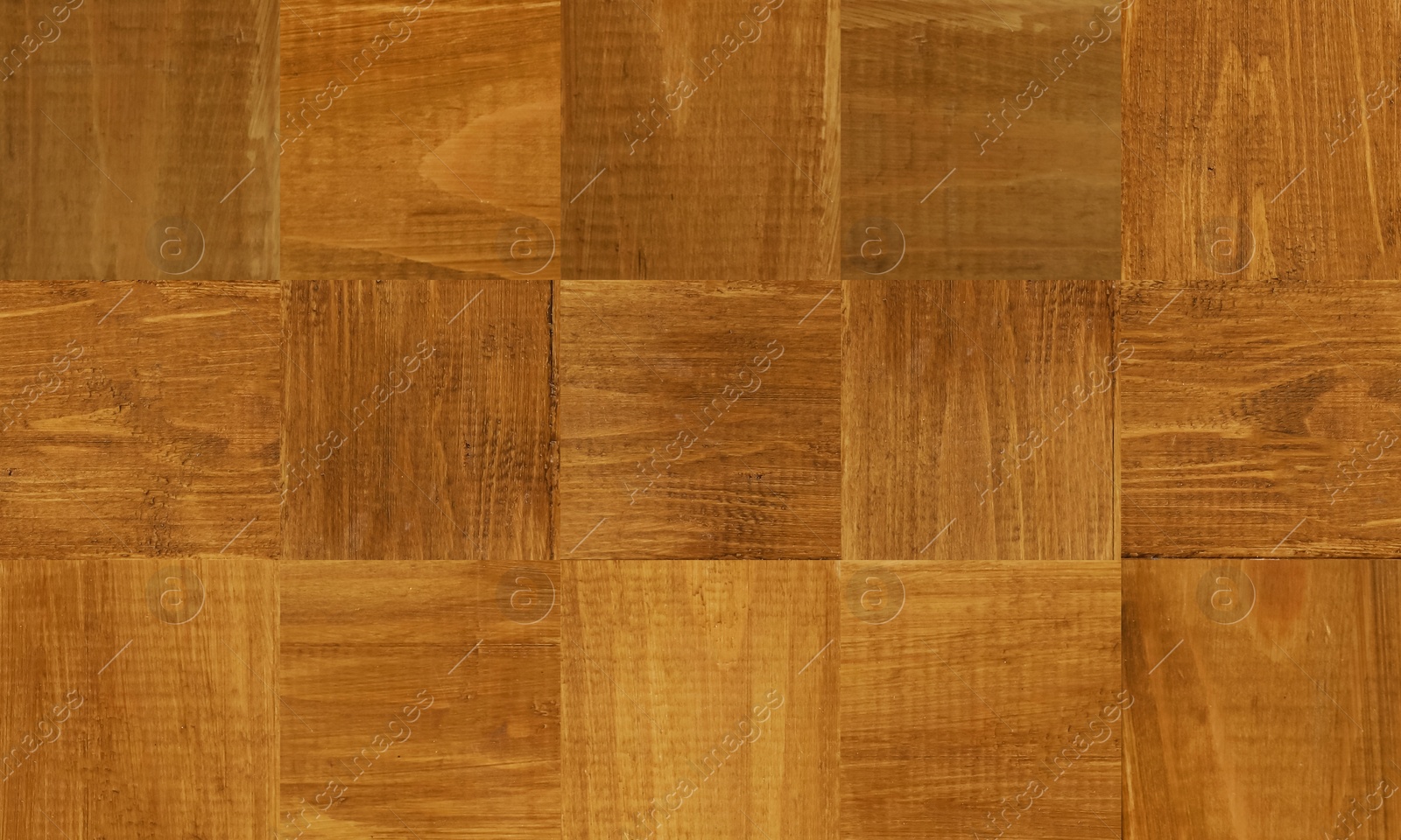 Image of End grain surface as background, closeup. Wooden texture