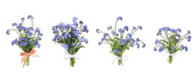 Image of Set with beautiful tender forget me not flowers on white background. Banner design