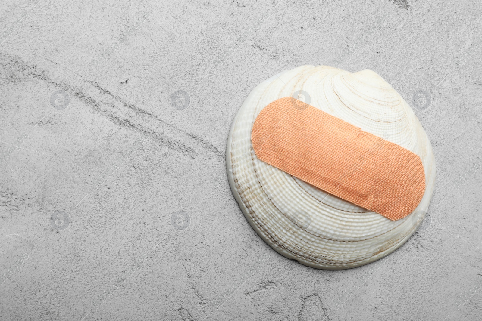 Photo of Shell with sticking plaster on light grey stone table, top view. Space for text