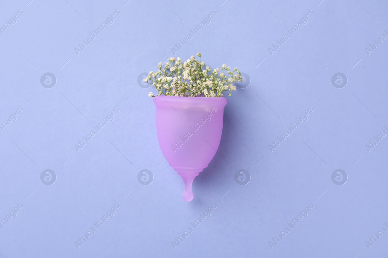 Photo of Menstrual cup with beautiful white flowers on blue background, top view