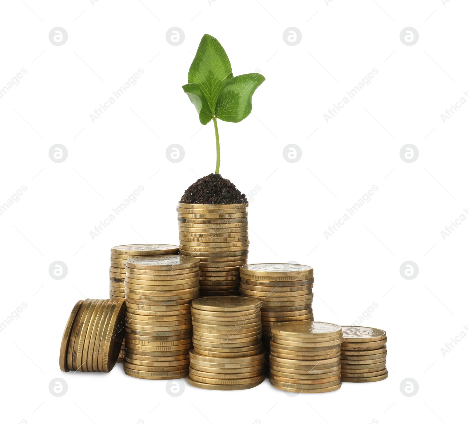 Photo of Stacks of coins and green plant on white background. Investment concept