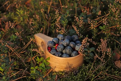 Wooden mug full of fresh ripe blueberries and lingonberries in grass