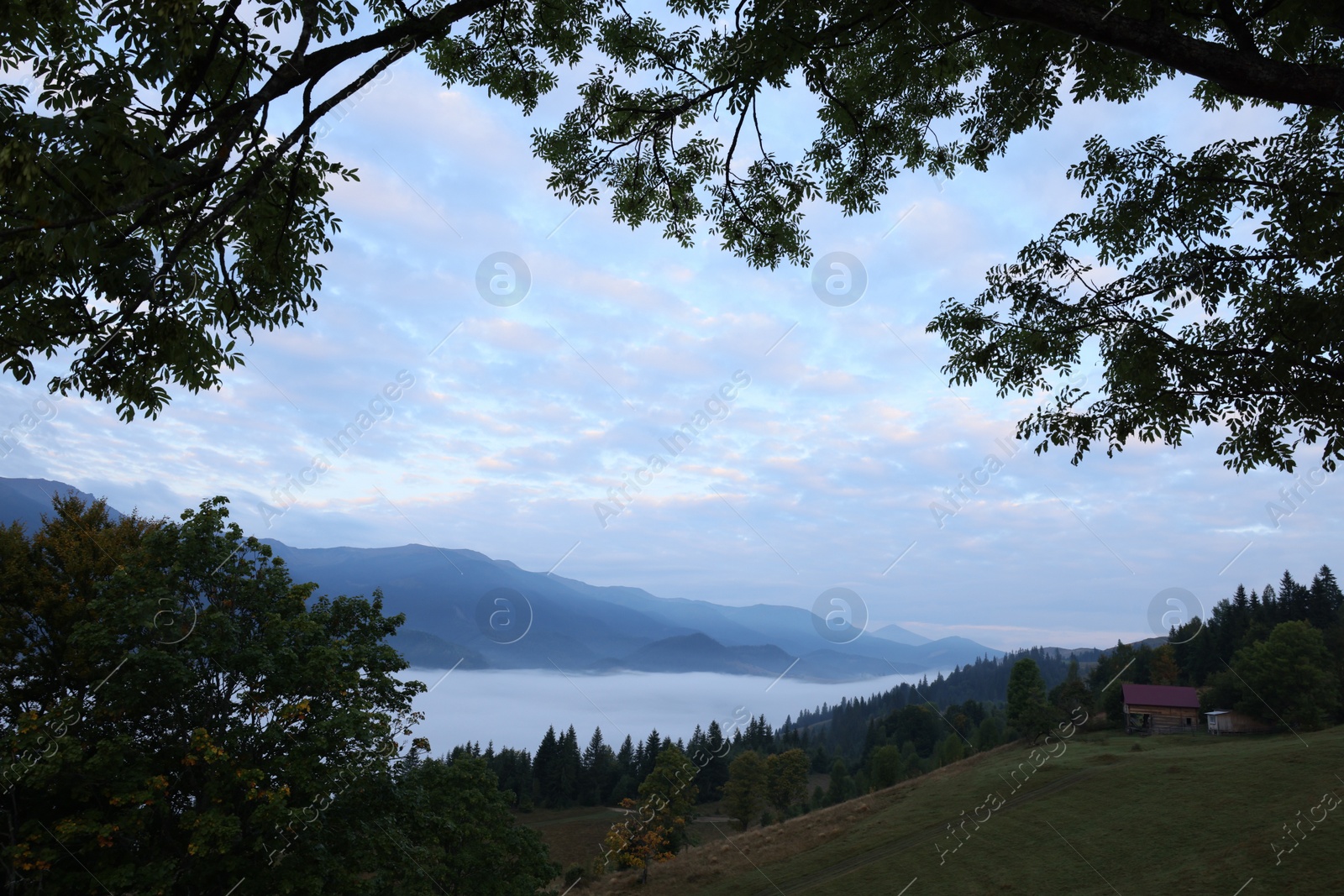 Photo of Picturesque view of house on mountain slope covered with fog in morning