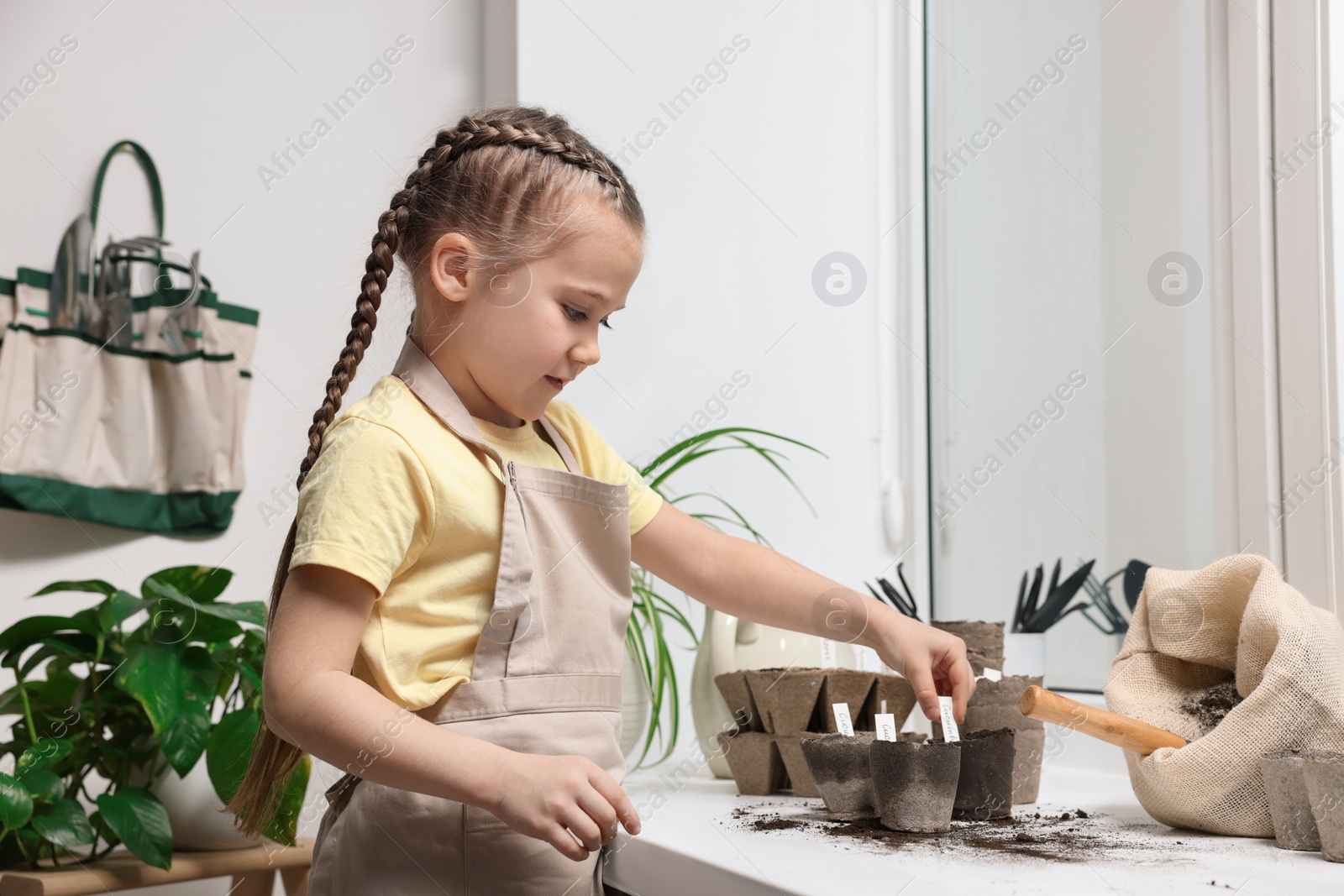 Photo of Little girl inserting cards with names of vegetable seeds into peat pots on window sill indoors