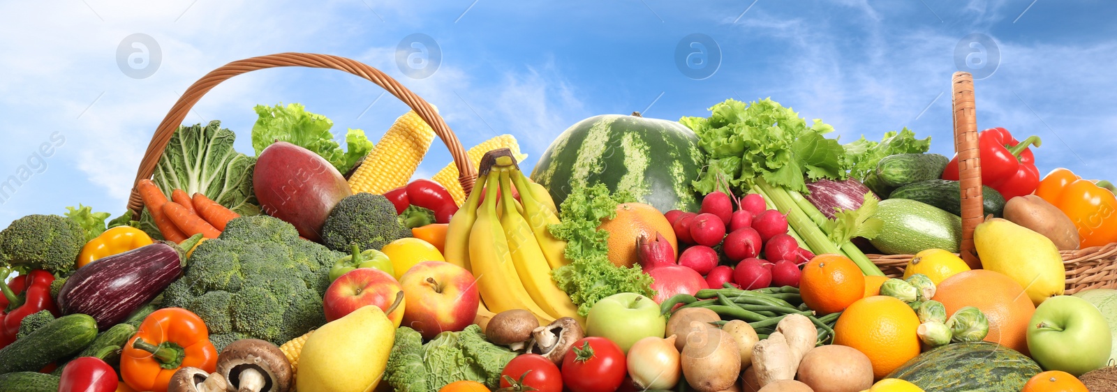 Image of Assortment of fresh organic fruits and vegetables outdoors. Banner design