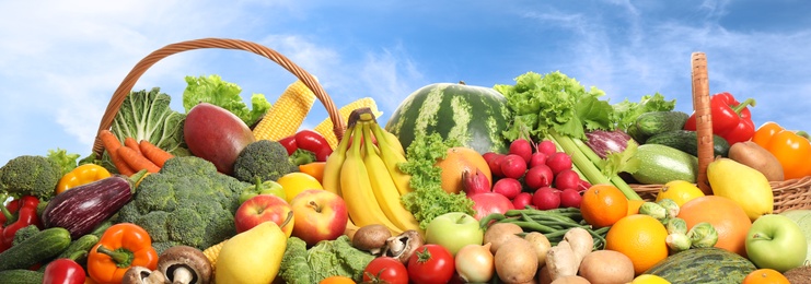 Image of Assortment of fresh organic fruits and vegetables outdoors. Banner design