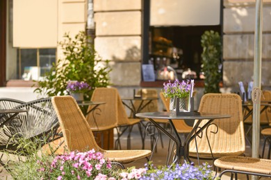 Outdoor cafe with beautiful flowers and comfortable furniture