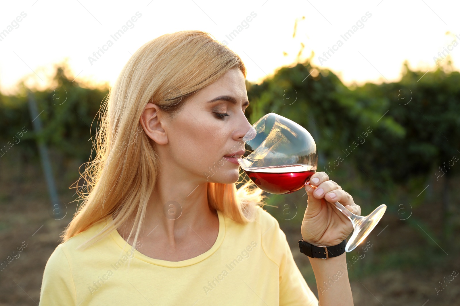 Photo of Young beautiful woman enjoying wine at vineyard on sunny day