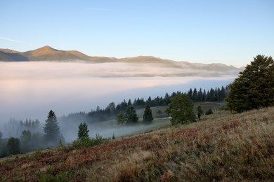 Photo of Picturesque view of fog in mountains on morning