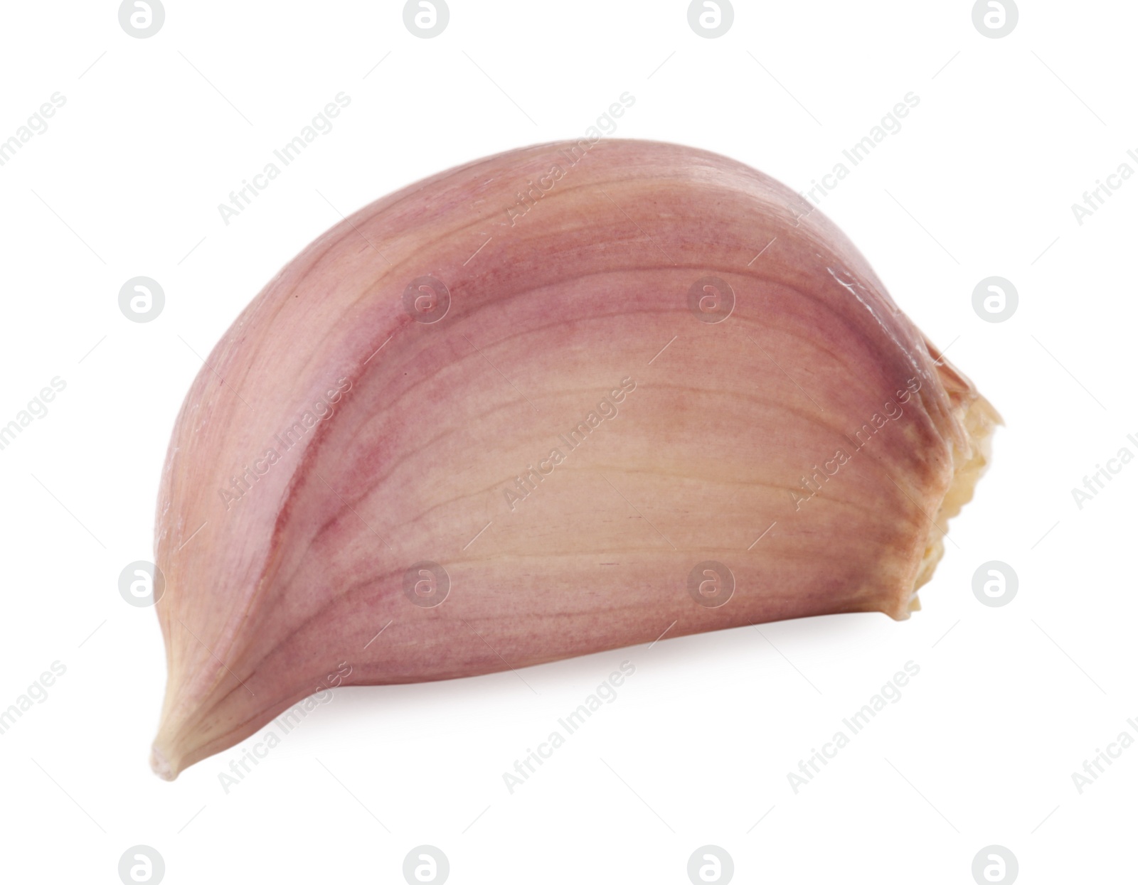 Photo of One clove of garlic isolated on white