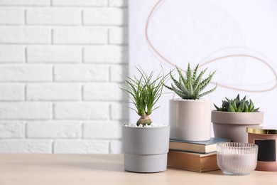 Photo of Beautiful Nolina, Aloe and Haworthia in pots with decor on wooden table against white brick wall, space for text. Different house plants
