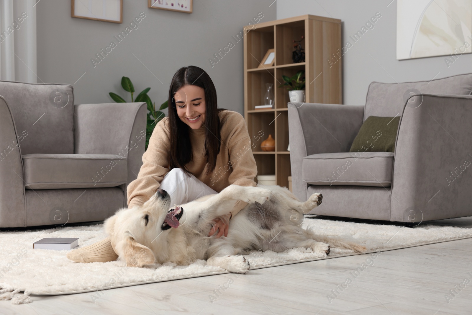 Photo of Happy woman playing with cute Labrador Retriever dog on floor at home. Adorable pet