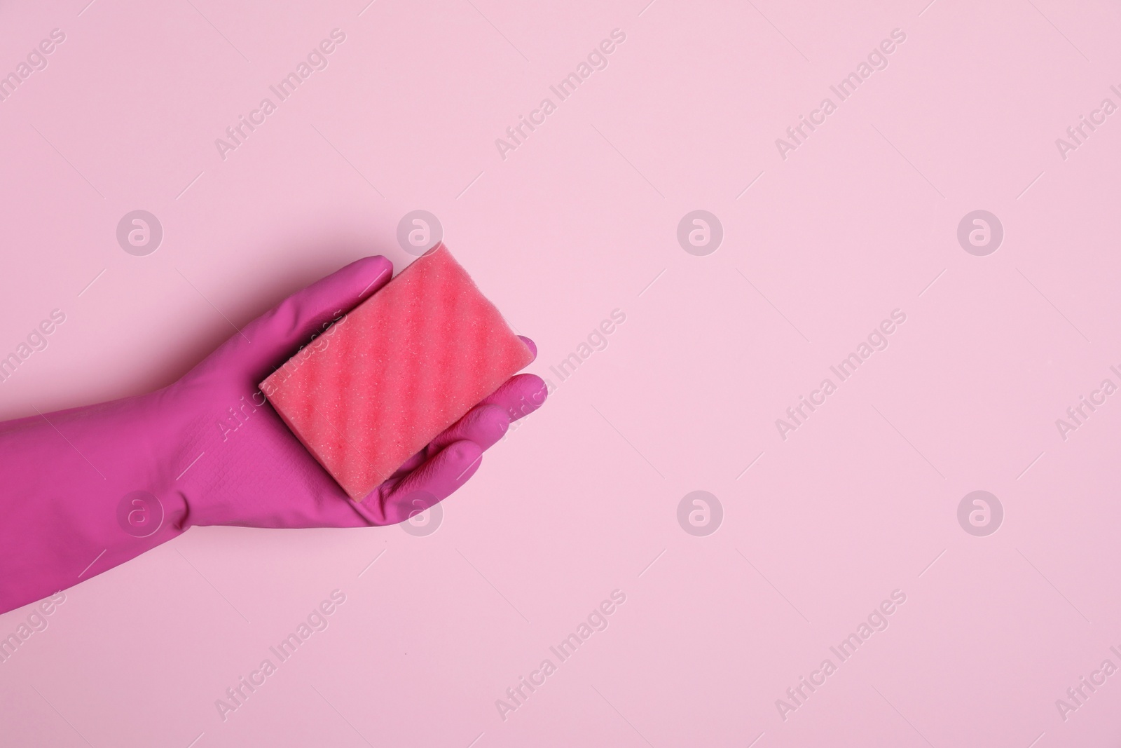 Photo of Woman in rubber glove holding sponge on pink background, top view. Space for text