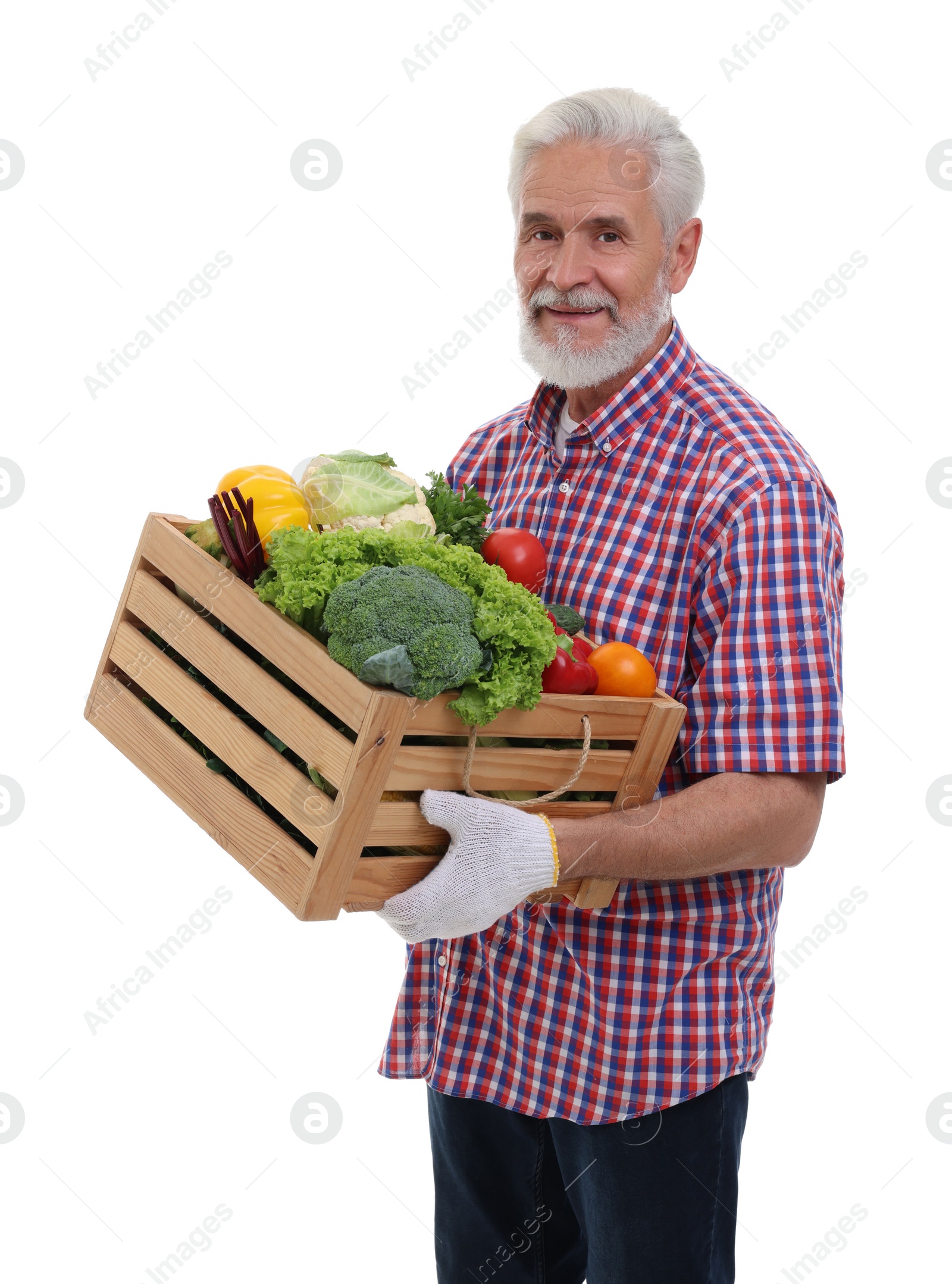 Photo of Harvesting season. Farmer holding wooden crate with vegetables on white background