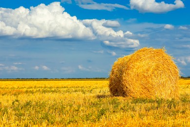 Hay bale in golden field under blue sky. Space for text