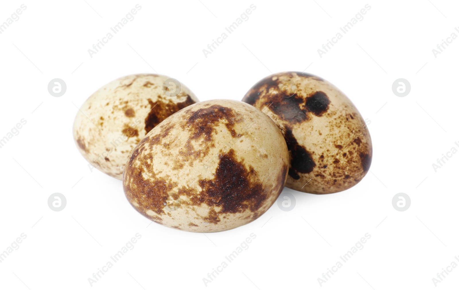 Photo of Beautiful speckled quail eggs on white background