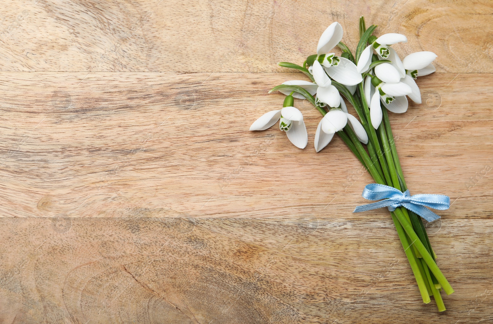 Photo of Beautiful snowdrops on wooden table, top view. Space for text