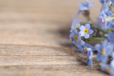 Photo of Beautiful forget-me-not flowers on wooden background, closeup. Space for text