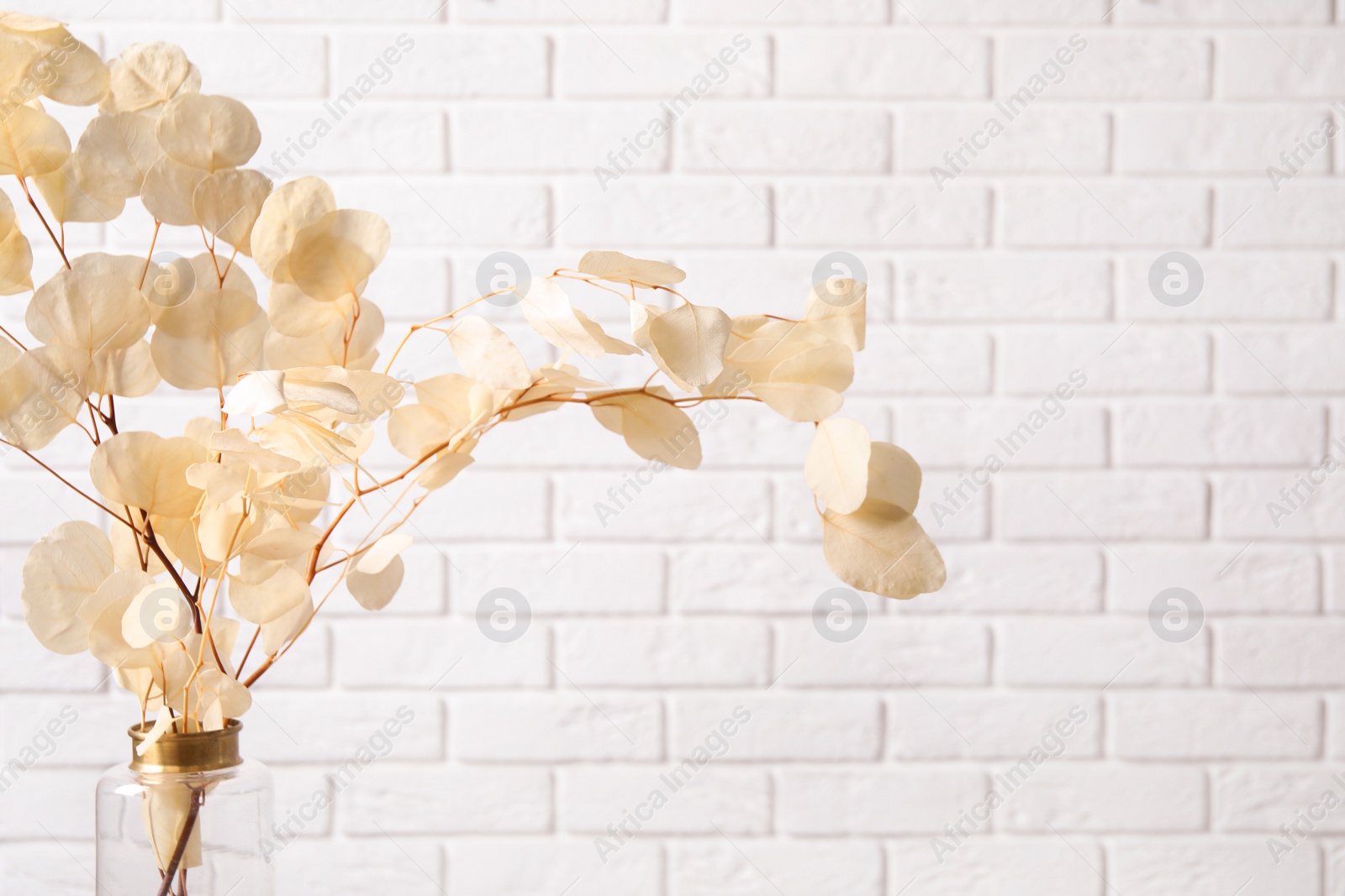 Photo of Dried eucalyptus branches in vase against white brick wall