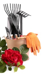 Photo of Pair of gloves, gardening tools and blooming rose on white background