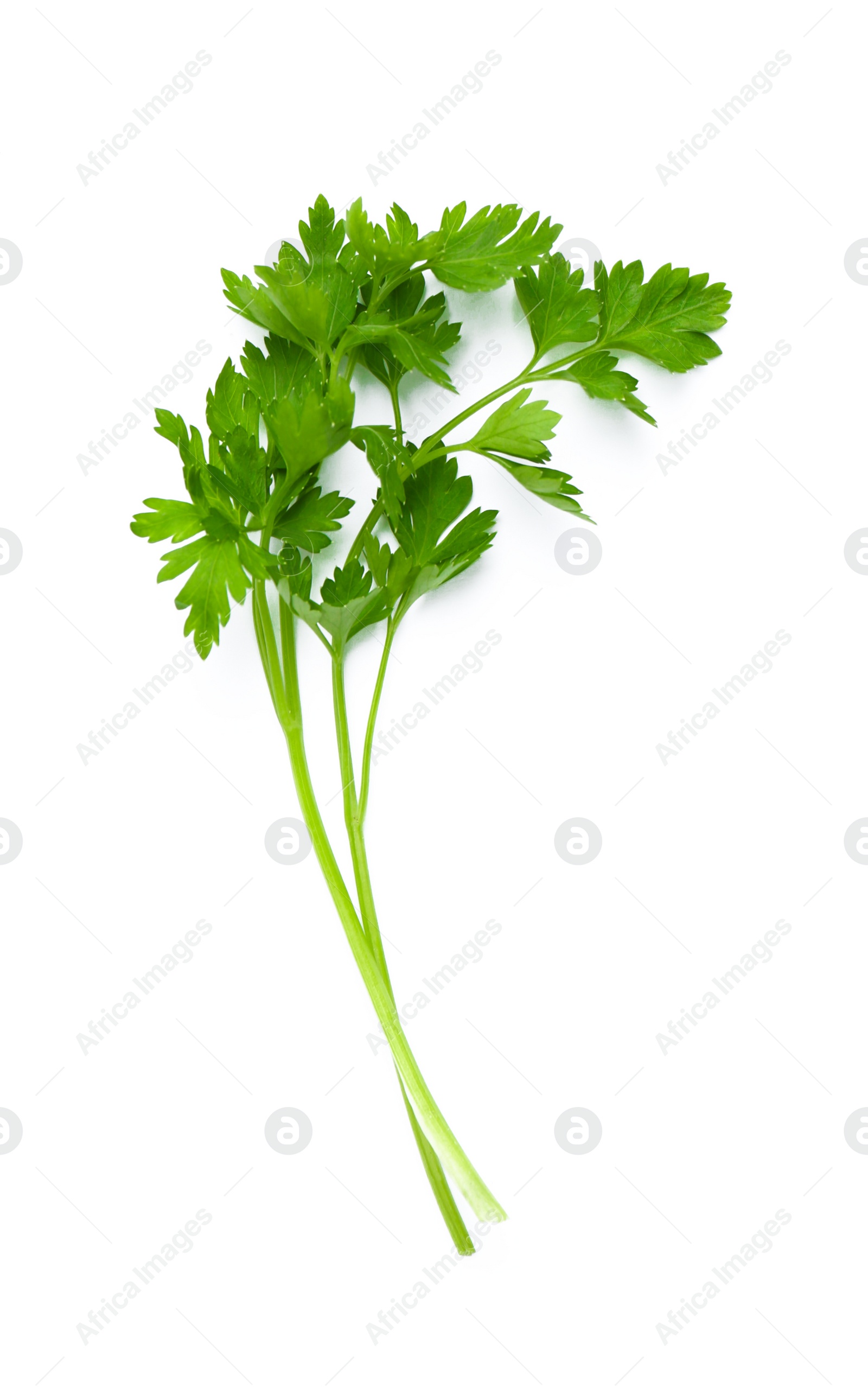 Photo of Leaves of fresh tasty parsley on white background, top view