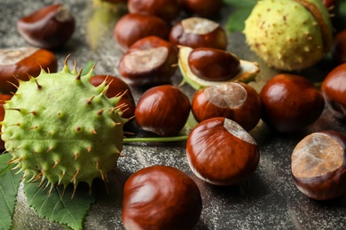Photo of Horse chestnuts and leaves on plate, closeup