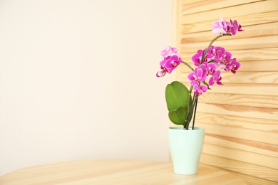 Photo of Flowerpot with blooming orchid on table indoors, space for text