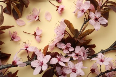 Photo of Spring tree branches with beautiful blossoms, flowers and petals on yellow background, top view